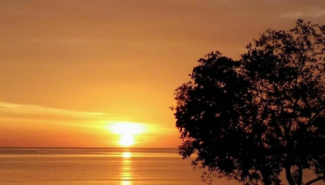Ocean Lodge Pantai Cenang  Eksteriør bilde